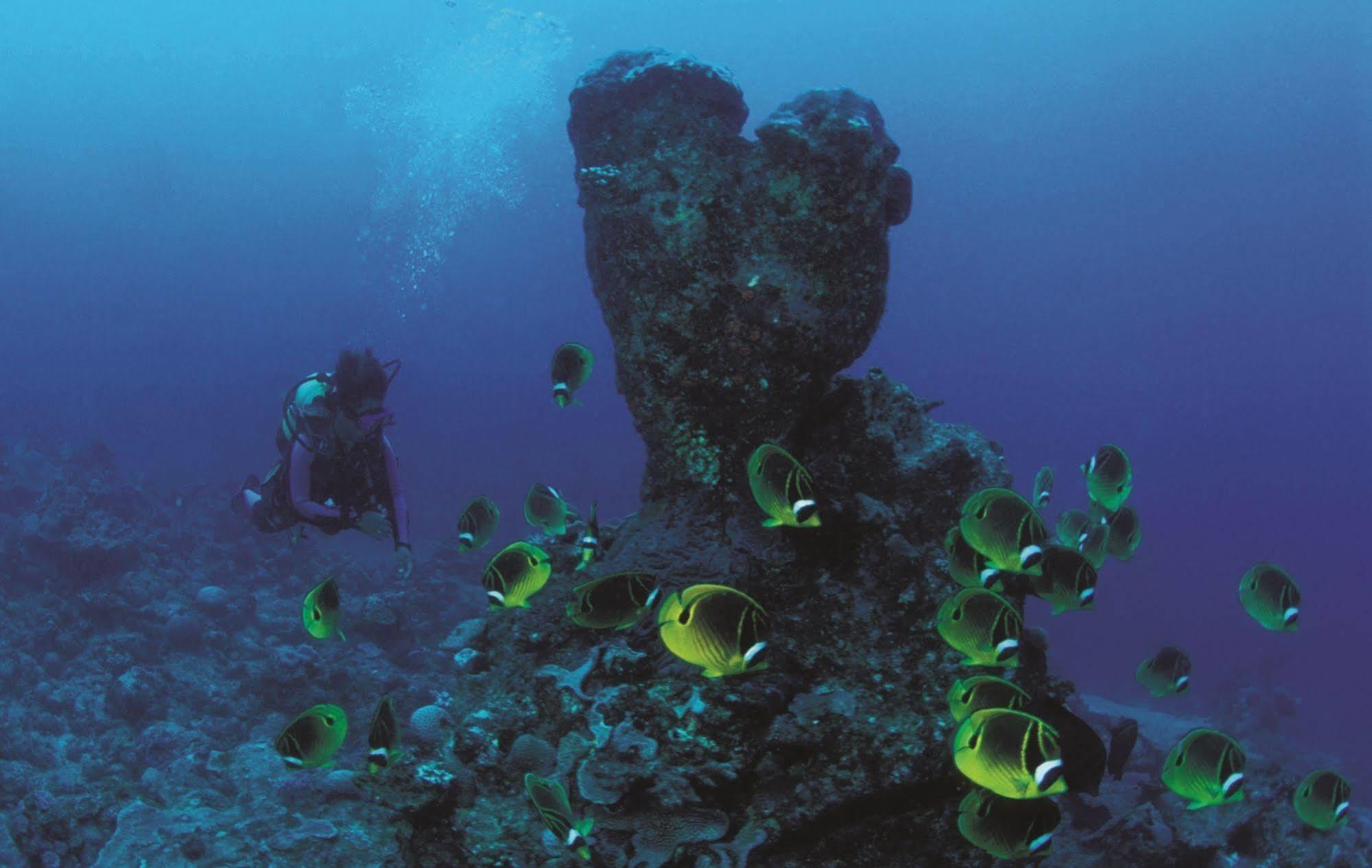 Reve Des Iles Guesthouse Gravier المظهر الخارجي الصورة